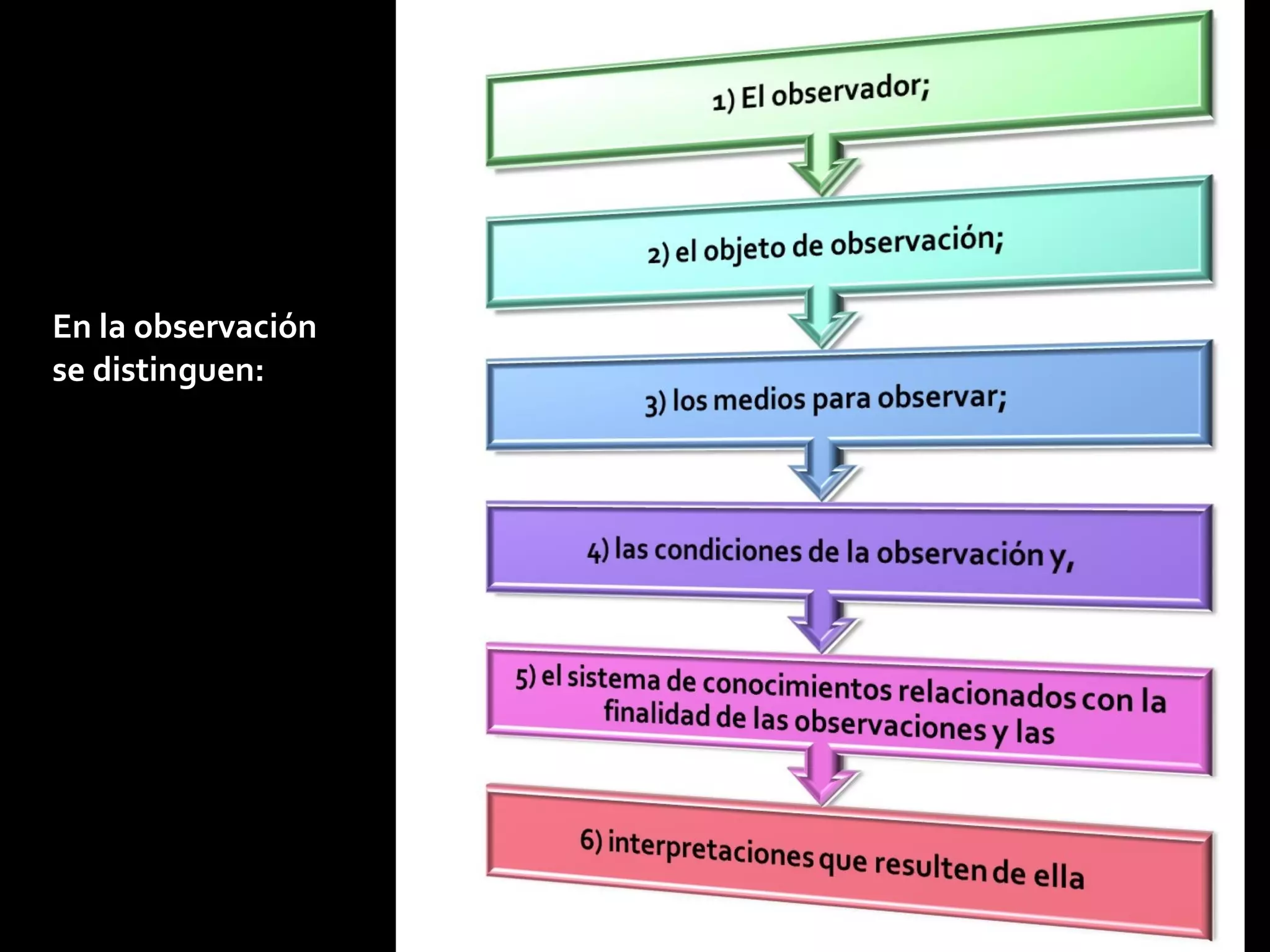 En la observación se distinguen: 