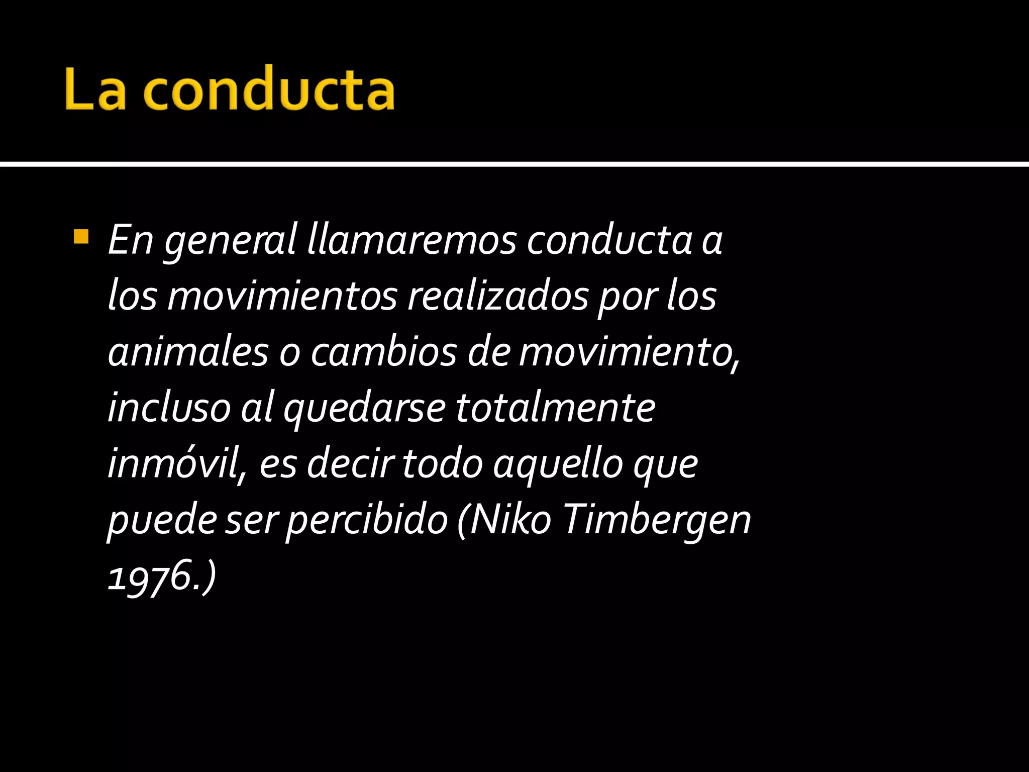En general llamaremos conducta a los movimientos realizados por los animales o cambios de movimiento, incluso al quedarse totalmente inmóvil, es decir todo aquello que puede ser percibido (Niko Timbergen 1976.) 