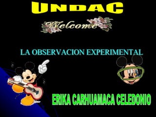 UNDAC LA OBSERVACION EXPERIMENTAL ERIKA CARHUAMACA CELEDONIO 