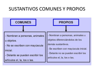 SUSTANTIVOS COMUNES Y PROPIOS
 