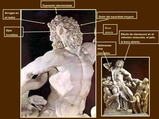 Expresión atormentada

Arrugas en
el rostre                            Dolor del sacerdote troyano



                                         Boca
 Ojos
                                         abierta
 hundidos                                             Efecto de claroscuro en el
                                                      volumen músculos, el pelo,
                                                      la boca abierta.
                                     Volúmenes
                                     muy
                                     marcados
 