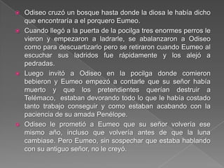  Odiseo cruzó un bosque hasta donde la diosa le había dicho
que encontraría a el porquero Eumeo.
 Cuando llegó a la puerta de la pocilga tres enormes perros le
vieron y empezaron a ladrarle, se abalanzaron a Odiseo
como para descuartizarlo pero se retiraron cuando Eumeo al
escuchar sus ladridos fue rápidamente y los alejó a
pedradas.
 Luego invitó a Odiseo en la pocilga donde comieron
bebieron y Eumeo empezó a contarle que su señor había
muerto y que los pretendientes querían destruir a
Telémaco, estaban devorando todo lo que le había costado
tanto trabajo conseguir y como estaban acabando con la
paciencia de su amada Penélope.
 Odiseo le prometió a Eumeo que su señor volvería ese
mismo año, incluso que volvería antes de que la luna
cambiase. Pero Eumeo, sin sospechar que estaba hablando
con su antiguo señor, no le creyó.
 