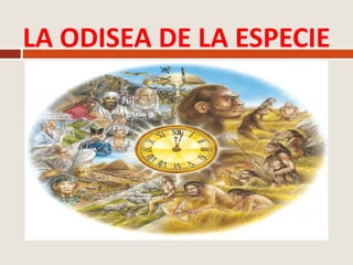 La odisea de la especie | PPT