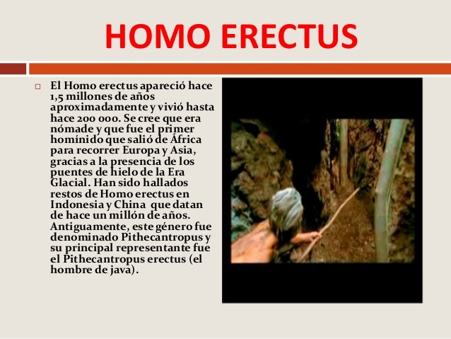 La Odisea De La Especie Resumen