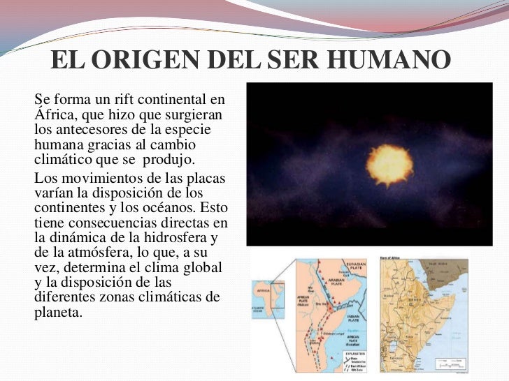 La Odisea De La Especie Resumen