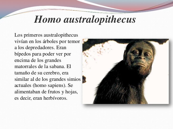 La Odisea De La Especie Resumen