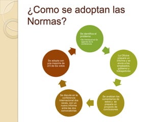 ¿Como se adoptan las
Normas?
Se identifica el
problema
• Se introduce en la
agenda de la
conferencia
La Oficina
prepara un
informe y se
envía a los
empleados,
gobierno y
trabajadores
Se analizan los
comentarios de
estos y se
prepara un
proyecto de
conclusiones
Se discute en la
conferencia
Internacional dos
veces, con un
nuevo informe
entre las dos
convocatorias
Se adopta con
una mayoría de
2/3 de los votos
 