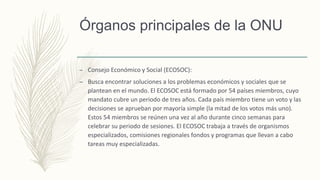 Órganos principales de la ONU
– Consejo Económico y Social (ECOSOC):
– Busca encontrar soluciones a los problemas económicos y sociales que se
plantean en el mundo. El ECOSOC está formado por 54 países miembros, cuyo
mandato cubre un periodo de tres años. Cada país miembro tiene un voto y las
decisiones se aprueban por mayoría simple (la mitad de los votos más uno).
Estos 54 miembros se reúnen una vez al año durante cinco semanas para
celebrar su periodo de sesiones. El ECOSOC trabaja a través de organismos
especializados, comisiones regionales fondos y programas que llevan a cabo
tareas muy especializadas.
 