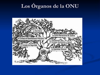 Los Órganos de la ONU 