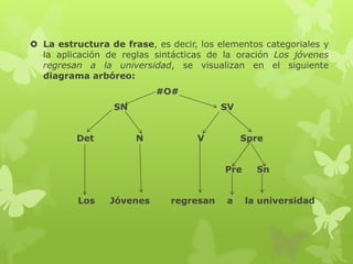  La estructura de frase, es decir, los elementos categoriales y
la aplicación de reglas sintácticas de la oración Los jóvenes
regresan a la universidad, se visualizan en el siguiente
diagrama arbóreo:
#O#
SN SV
Det N V Spre
Pre Sn
Los Jóvenes regresan a la universidad
 