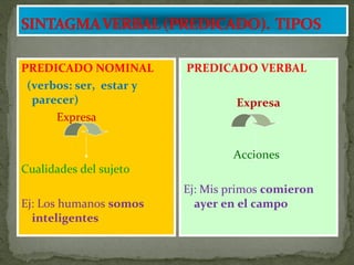 PREDICADO NOMINAL        PREDICADO VERBAL
 (verbos: ser, estar y
  parecer)                        Expresa
      Expresa


                                 Acciones
Cualidades del sujeto
                         Ej: Mis primos comieron
Ej: Los humanos somos      ayer en el campo
  inteligentes
 