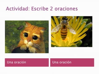 Una oración   Una oración
 