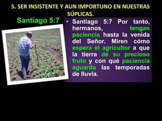 5. SER INSISTENTE Y AUN IMPORTUNO EN NUESTRAS
                     SÚPLICAS.
  Santiago 5:7 • Santiago 5:7 Por tanto,
                      hermanos,           tengan
                      paciencia hasta la venida
                      del Señor. Miren cómo
                      espera el agricultor a que
                      la tierra dé su precioso
                      fruto y con qué paciencia
                      aguarda las temporadas
                      de lluvia.
 
