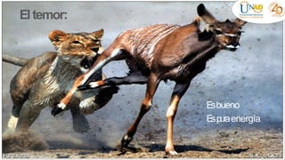 Eltemor:
Esbueno
Espuraenergía
 