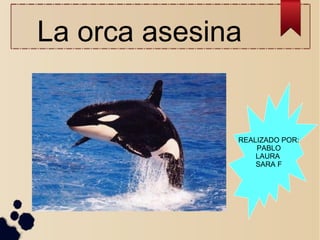 La orca asesina
REALIZADO POR:
PABLO
LAURA
SARA F
 