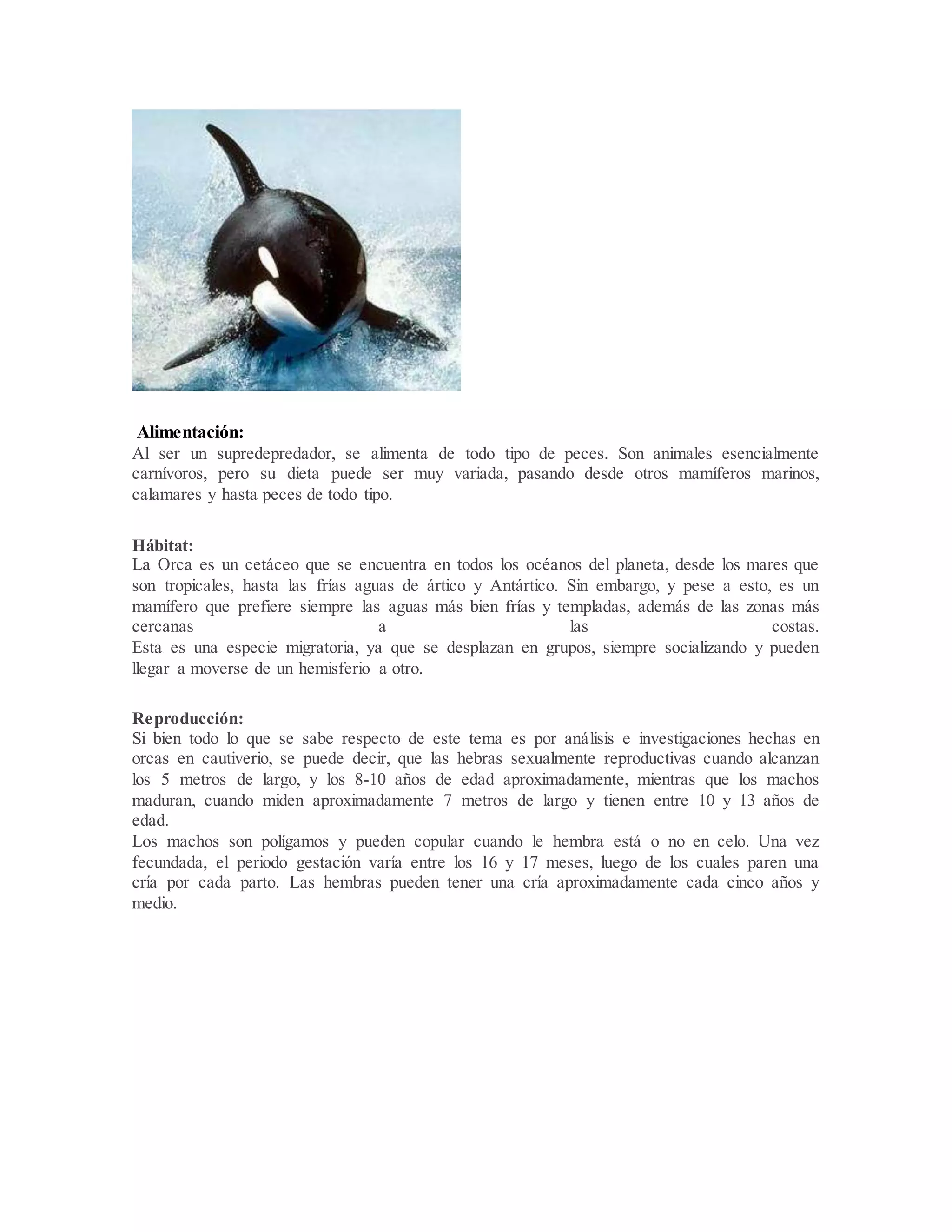 Orca Slide La orca | DOCX