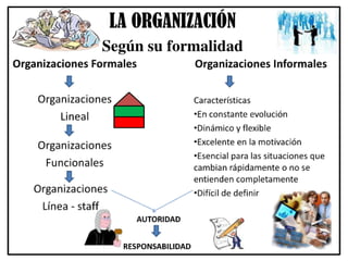 La organización