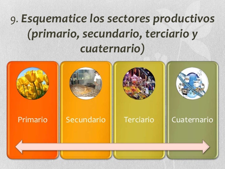 La organización