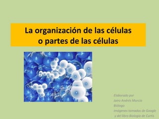 La organización de las células
    o partes de las células




                        Elaborado por
                        Jairo Andrés Murcia
                        Biólogo
                        Imágenes tomadas de Google
                         y del libro Biología de Curtis
 