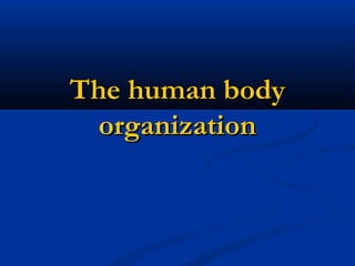 The human body
organization

 