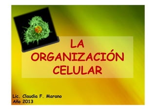 LALA
ORGANIZACIÓNORGANIZACIÓNORGANIZACIÓNORGANIZACIÓN
CELULARCELULAR
Lic. Claudia F. Marano
Año 2013
 