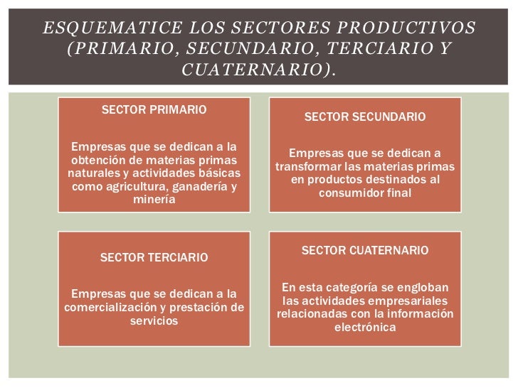 La organizacion y la mercadotecnia