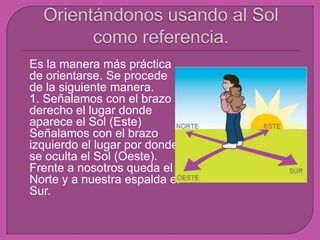  Es la manera más práctica
  de orientarse. Se procede
  de la siguiente manera.
 1. Señalamos con el brazo
  derecho el lugar donde
  aparece el Sol (Este)
 Señalamos con el brazo
  izquierdo el lugar por donde
  se oculta el Sol (Oeste).
 Frente a nosotros queda el
  Norte y a nuestra espalda el
  Sur.
 