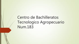 Centro de Bachilleratos
Tecnologico Agropecuario
Num.183
 
