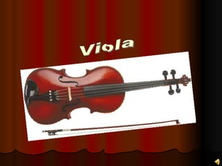 Viola