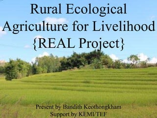 Rural Ecological
Agriculture for Livelihood
{REAL Project}
Present by Bandith Keothongkham
Support by KEMI/TEF
 