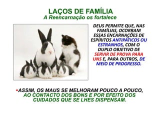 DEUS PERMITE QUE, NAS
FAMÍLIAS, OCORRAM
ESSAS ENCARNAÇÕES DE
ESPÍRITOS ANTIPÁTICOS OU
ESTRANHOS, COM O
DUPLO OBJETIVO DE
SERVIR DE PROVA PARA
UNS E, PARA OUTROS, DE
MEIO DE PROGRESSO.
DEUS PERMITE QUE, NAS
FAMÍLIAS, OCORRAM
ESSAS ENCARNAÇÕES DE
ESPÍRITOS ANTIPÁTICOS OU
ESTRANHOS, COM O
DUPLO OBJETIVO DE
SERVIR DE PROVA PARA
UNS E, PARA OUTROS, DE
MEIO DE PROGRESSO.
LAÇOS DE FAMÍLIA
A Reencarnação os fortalece
LAÇOS DE FAMÍLIA
A Reencarnação os fortalece
ASSIM, OS MAUS SE MELHORAM POUCO A POUCO,
AO CONTACTO DOS BONS E POR EFEITO DOS
CUIDADOS QUE SE LHES DISPENSAM.
ASSIM, OS MAUS SE MELHORAM POUCO A POUCO,
AO CONTACTO DOS BONS E POR EFEITO DOS
CUIDADOS QUE SE LHES DISPENSAM.
 