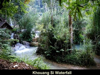 Khouang Si Waterfall
 