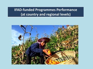 IFAD-funded Programmes Performance
(at country and regional levels)
 