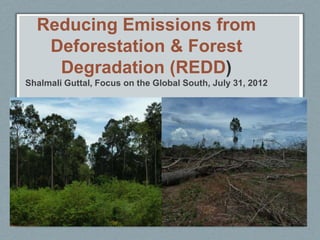 Reducing Emissions from
   Deforestation & Forest
    Degradation (REDD)
Shalmali Guttal, Focus on the Global South, July 31, 2012




                          Markets??
 