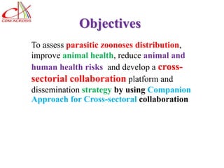 Laos long-term study on zoonotic parasitic diseases in livestock: Approaches and initial challenges using a cross-sectorial approach