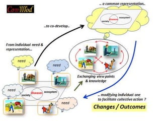 Laos long-term study on zoonotic parasitic diseases in livestock: Approaches and initial challenges using a cross-sectorial approach