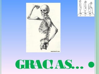 GRAC!AS…
 