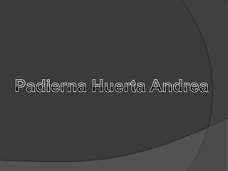 Padierna Huerta Andrea  