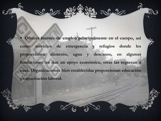  Ofrecer fuentes de empleo principalmente en el campo, así
como    servicios   de    emergencia    y   refugios    donde   les
proporcionen    alimento,    agua   y   descanso,      en   algunas
fundaciones les dan un apoyo económico, otras las regresan a
casa. Organizaciones bien establecidas proporcionan educación
y capacitación laboral.
 