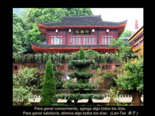 Para ganar conocimiento, agrega algo todos los d í as. Para ganar sabidur í a, elimina algo todos los d í as.  (Lao-Tsé  老子 ) ‏ 