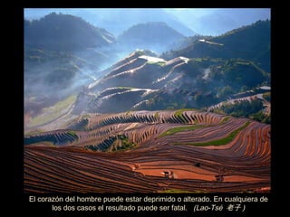 El coraz ón  del hombre puede estar deprimido o alterado. En cualquiera de los dos casos el resultado puede ser fatal.  (Lao-Tsé  老子 ) 