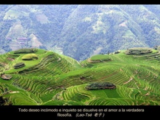 Todo deseo inc ó modo e inquieto se disuelve en el amor a la verdadera filosof í a.  (Lao-Tsé  老子 )  