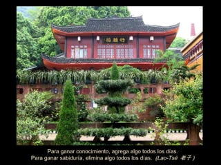 Para ganar conocimiento, agrega algo todos los días.
Para ganar sabiduría, elimina algo todos los días. (Lao-Tsé 老子 )
 