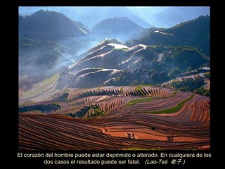 El corazón del hombre puede estar deprimido o alterado. En cualquiera de los
          dos casos el resultado puede ser fatal. (Lao-Tsé 老子 )
 