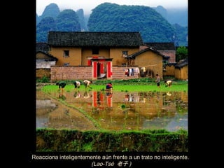 Reacciona inteligentemente aún frente a un trato no inteligente.
                      (Lao-Tsé 老子 )
 