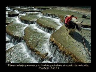 Elije un trabajo que ames y no tendrás que trabajar ni un solo día de tu vida.
                             (Confucio 孔夫子 )
 