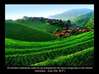 El hombre realmente culto no se avergüenza de hacer preguntas a los menos
                        instruidos. (Lao-Tsé 老子 )
 