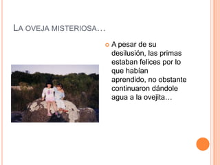 LA OVEJA MISTERIOSA…
                      A pesar de su
                       desilusión, las primas
                       estaban felices por lo
                       que habían
                       aprendido, no obstante
                       continuaron dándole
                       agua a la ovejita…
 