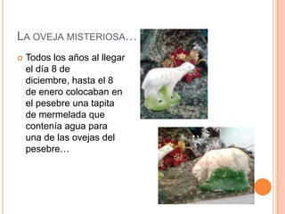 LA OVEJA MISTERIOSA…
   Todos los años al llegar
    el día 8 de
    diciembre, hasta el 8
    de enero colocaban en
    el pesebre una tapita
    de mermelada que
    contenía agua para
    una de las ovejas del
    pesebre…
 