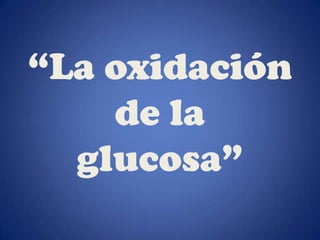 “La oxidación de la glucosa” 